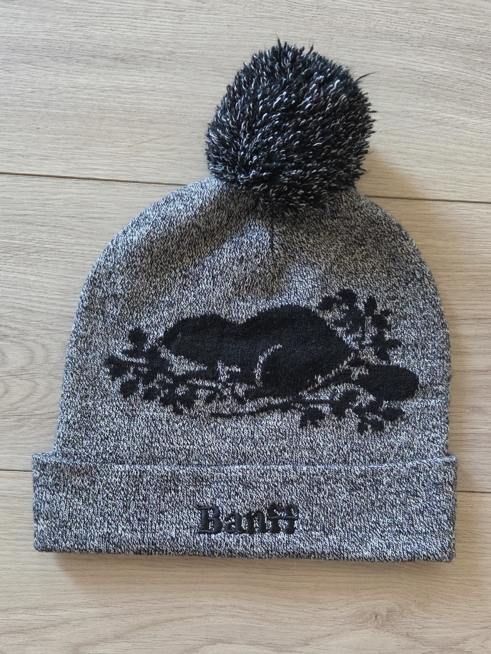 Roots Banff Pom Pom Beanie Toque